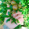 honeykhan112_