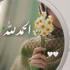 itx.aneeqa