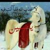 user4863904720514