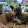 paula_28102000