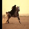 sumayachowdhury3329