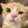 reraty_