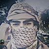 user8422991813182