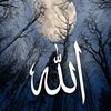 jehad5665
