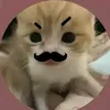 ltnghi_nee