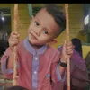 alifalif311