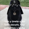 antoniorodriguesp71