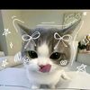 husna_complete