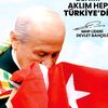 papatya.4601