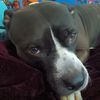 jay_jay0691