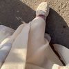 sherehan.abo.elkheer