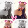 dvmb.emmq