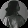 z_t_3133