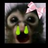 matias131q3