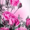 user4319350322721