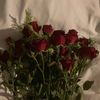 shahdsh5052