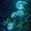 amirat_omi_w_ikhwatti1