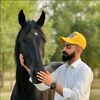 mohsinabbas3980