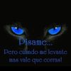 chapincito858