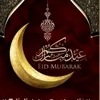 hamadazinelkheir