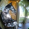 silverglassnotes