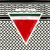 tvs_alaa