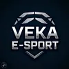 vekaesport