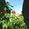usersouyhtsa3b