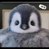 artic_eiji
