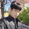 rull_535