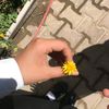 huda_ayy1