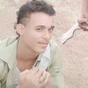 user8663444127337