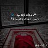 hamza_3717