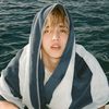 hani_244_