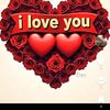 user6531503613744