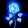 user390189256