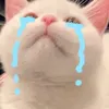 bbybella_gfkillua