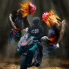 chung.biker.tu.do.r15vv3