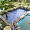 anakgabut4356