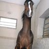 jiten03486