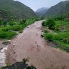Raad Al.Hakimi