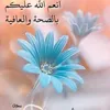 imad.ben466