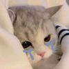 thwe_myat_san