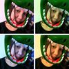 diqq_zz