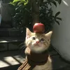qppqwppr
