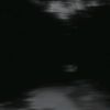 shadowgarden681