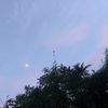 nishan.biswas8