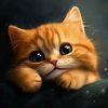user8445614003636