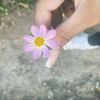 you_0138