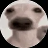 dawgthedawgg
